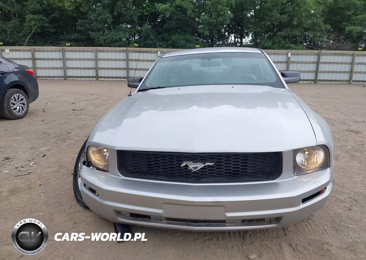 2008 Ford Mustang V6 Deluxe-V6 Premium VIN:1ZVHT80N385208339 - 13