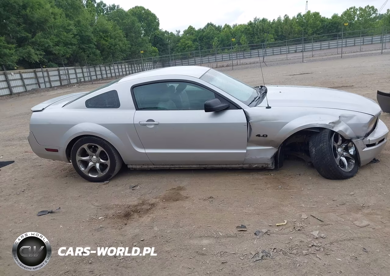 2008 Ford Mustang V6 Deluxe-V6 Premium VIN:1ZVHT80N385208339 - 14