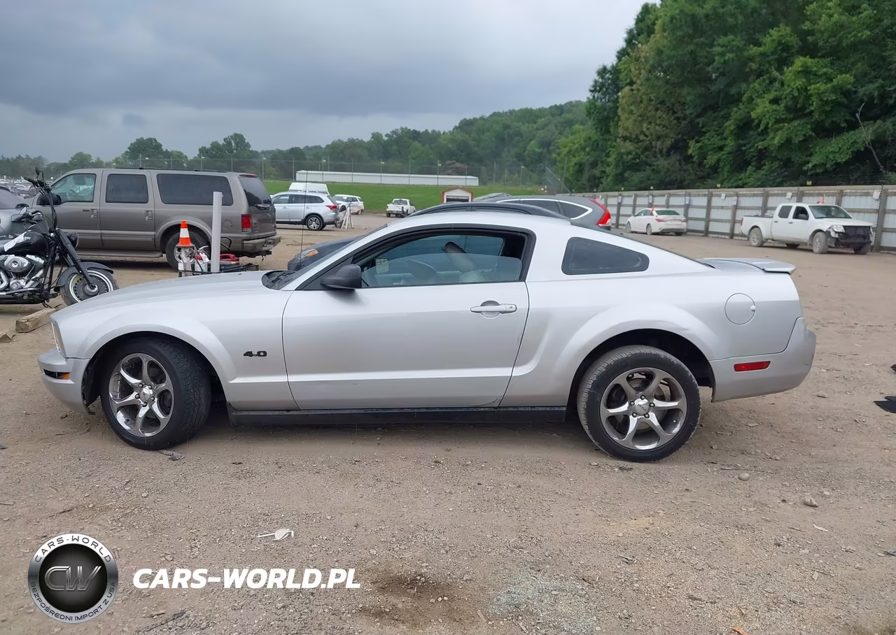 2008 Ford Mustang V6 Deluxe-V6 Premium VIN:1ZVHT80N385208339 - 15