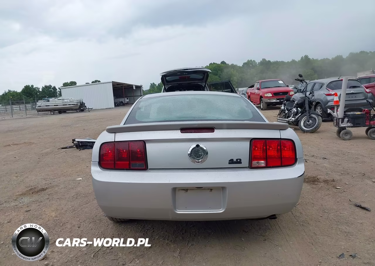 2008 Ford Mustang V6 Deluxe-V6 Premium VIN:1ZVHT80N385208339 - 17
