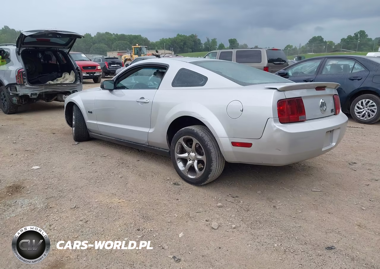2008 Ford Mustang V6 Deluxe-V6 Premium VIN:1ZVHT80N385208339 - 3