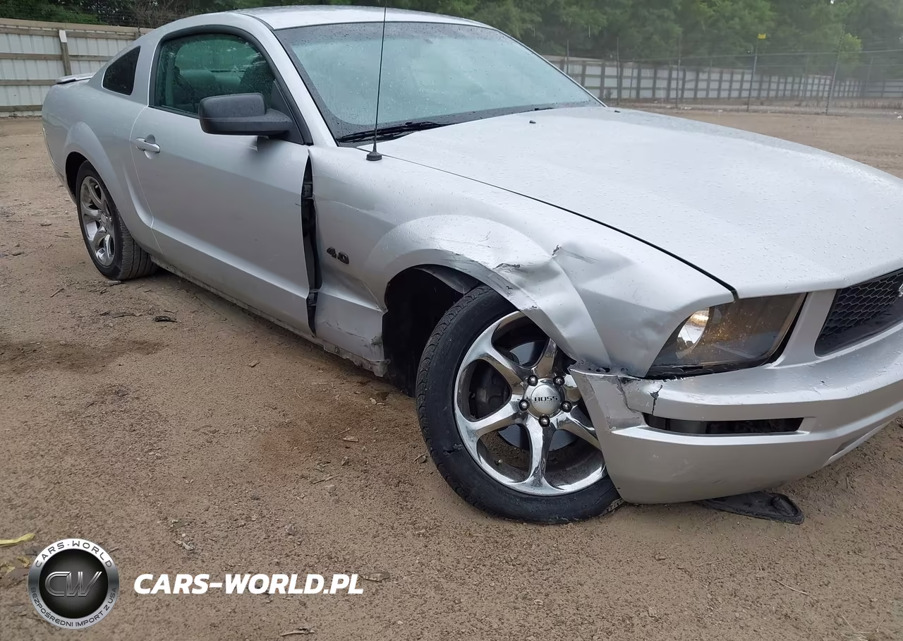 2008 Ford Mustang V6 Deluxe-V6 Premium VIN:1ZVHT80N385208339 - 6