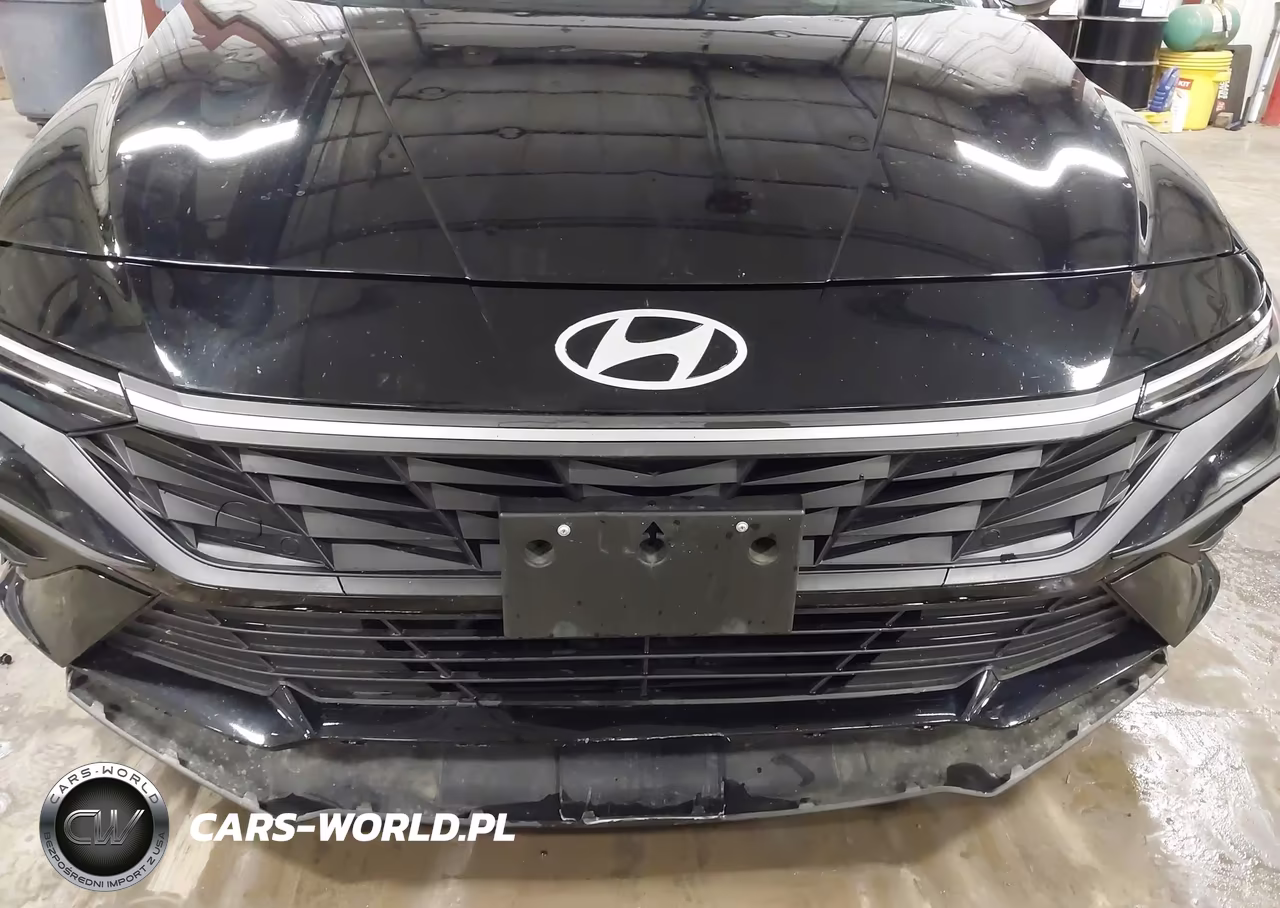 2024 Hyundai Elantra Se VIN:KMHLL4DG3RU766244 - 17