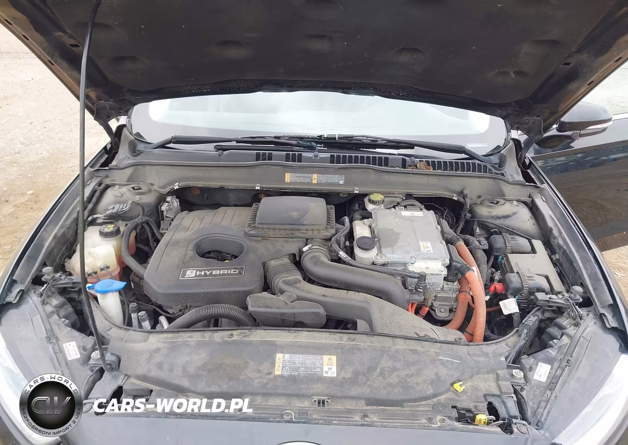 2016 Ford Fusion Hybrid Se VIN:3FA6P0LU1GR262758 - 10