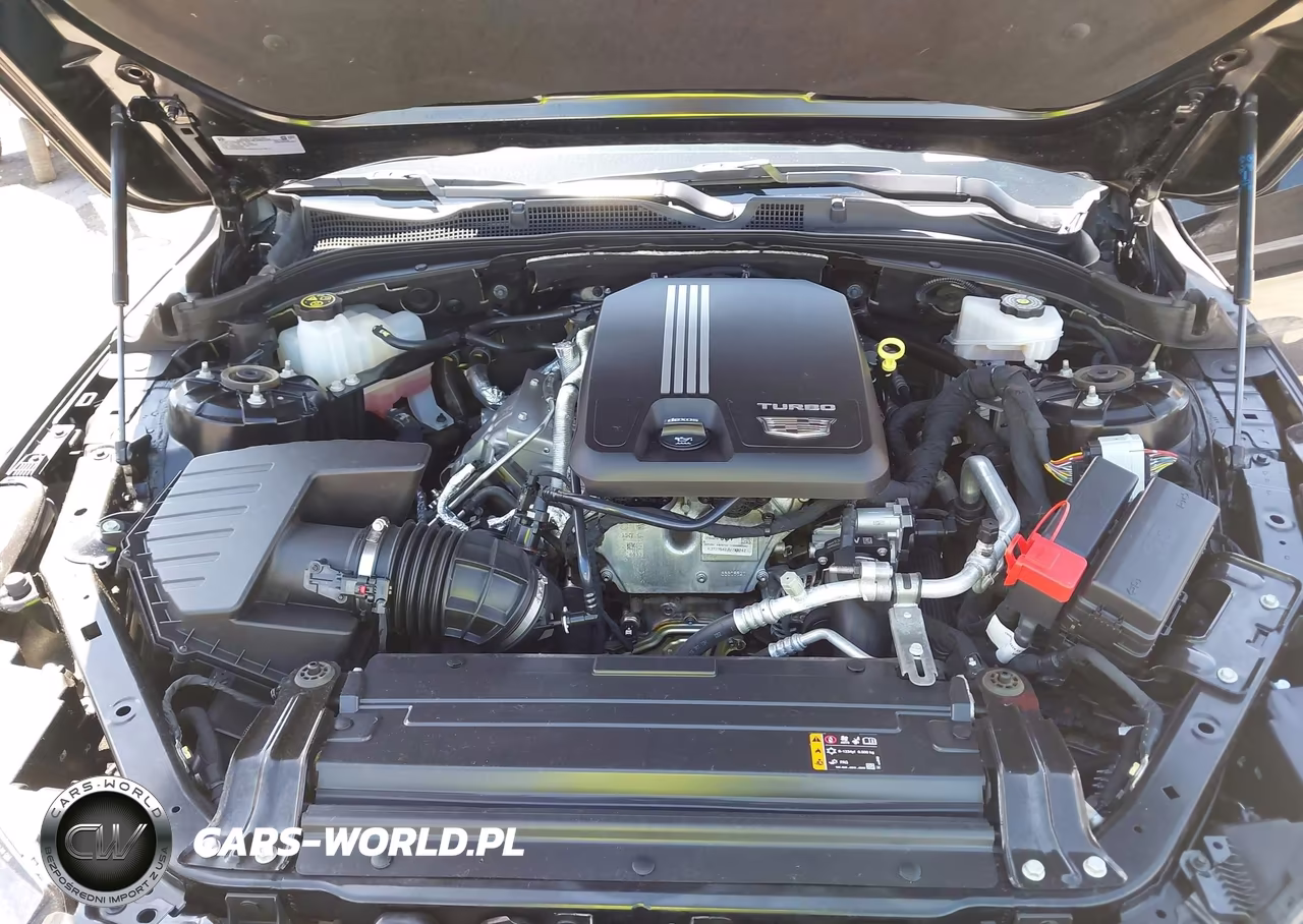 2023 Cadillac Ct4 Premium Luxury VIN:1G6DF5RKXP0130625 - 10