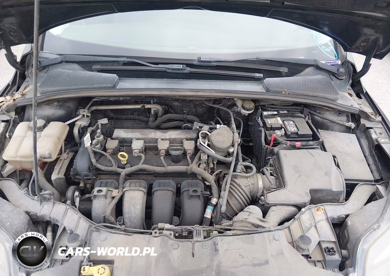 2014 Ford Focus Titanium VIN:1FADP3J24EL255230 - 10