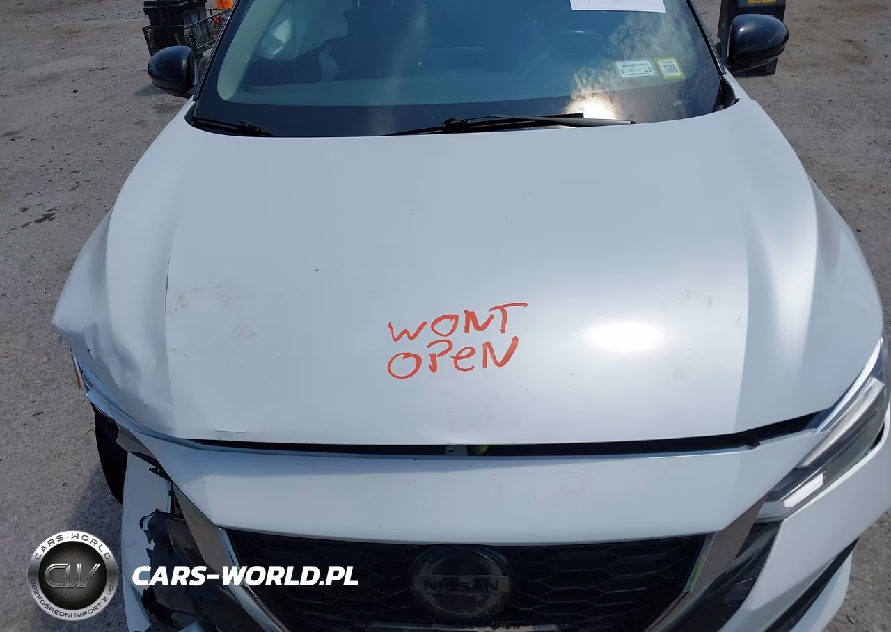2020 Nissan Sentra Sr Xtronic Cvt VIN:3N1AB8DV9LY300359 - 10