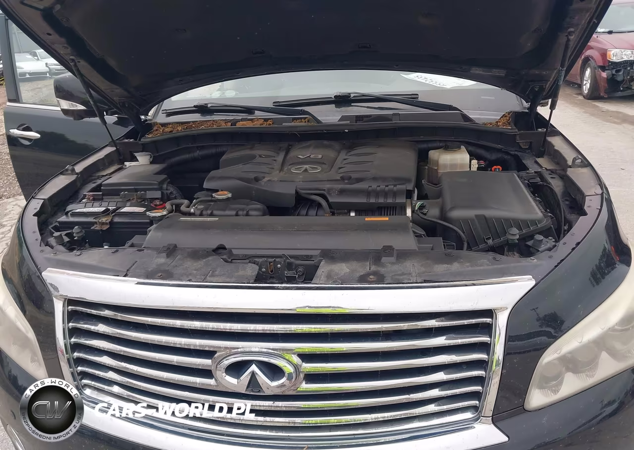 2014 Infiniti Qx80 VIN:JN8AZ2NE7E9063775 - 10