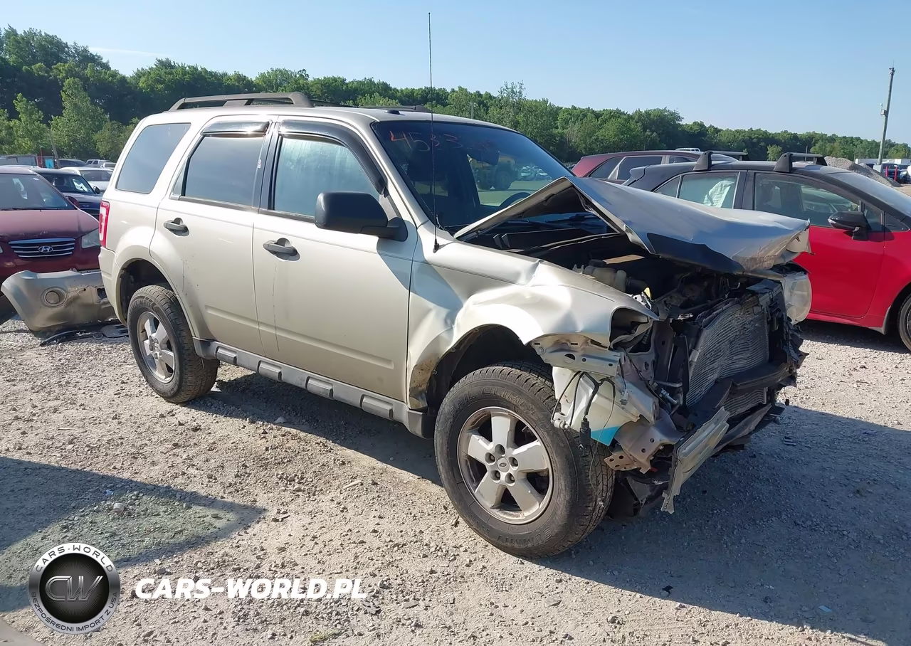 2010 Ford Escape Xlt