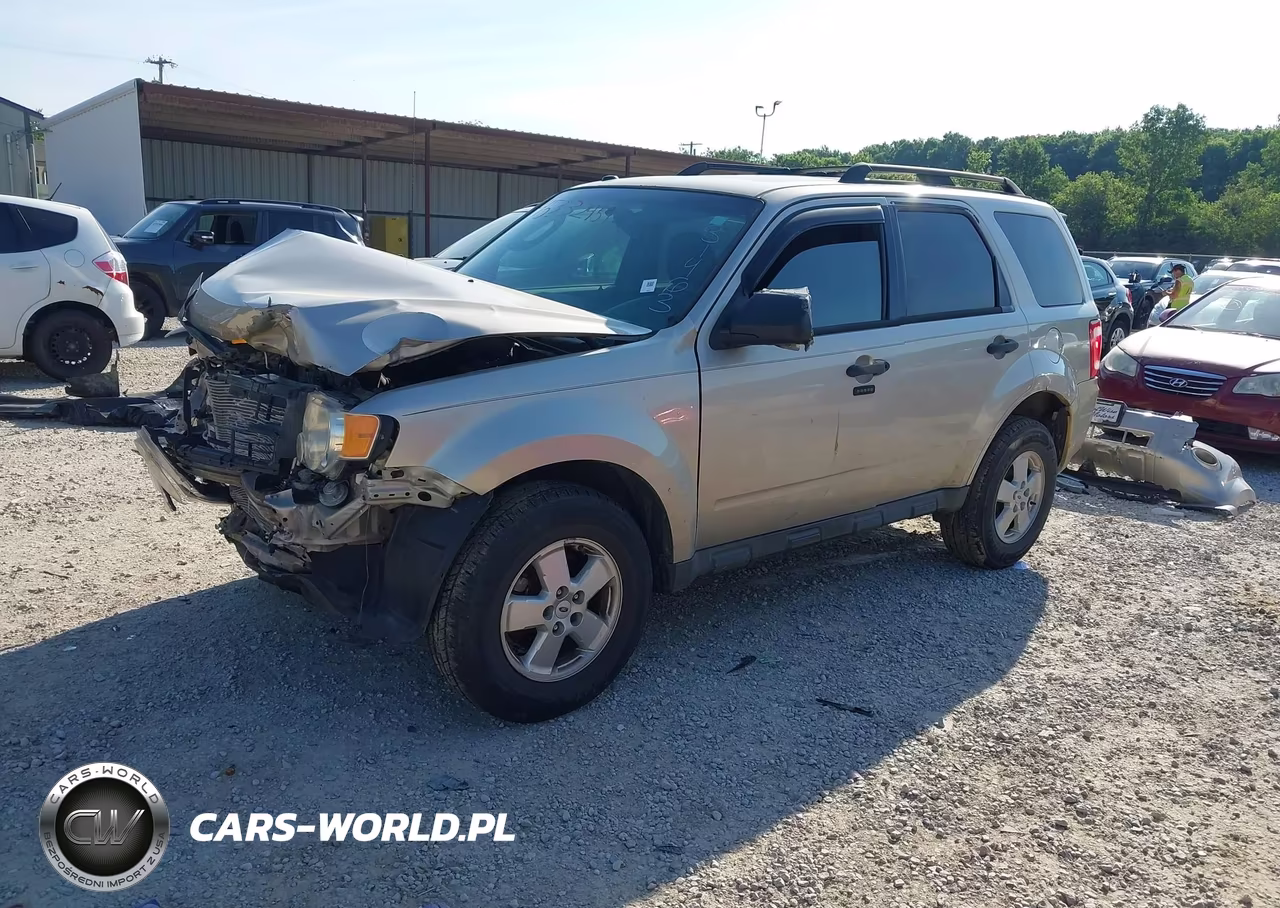 2010 Ford Escape Xlt VIN:1FMCU9DG7AKD31463 - 2