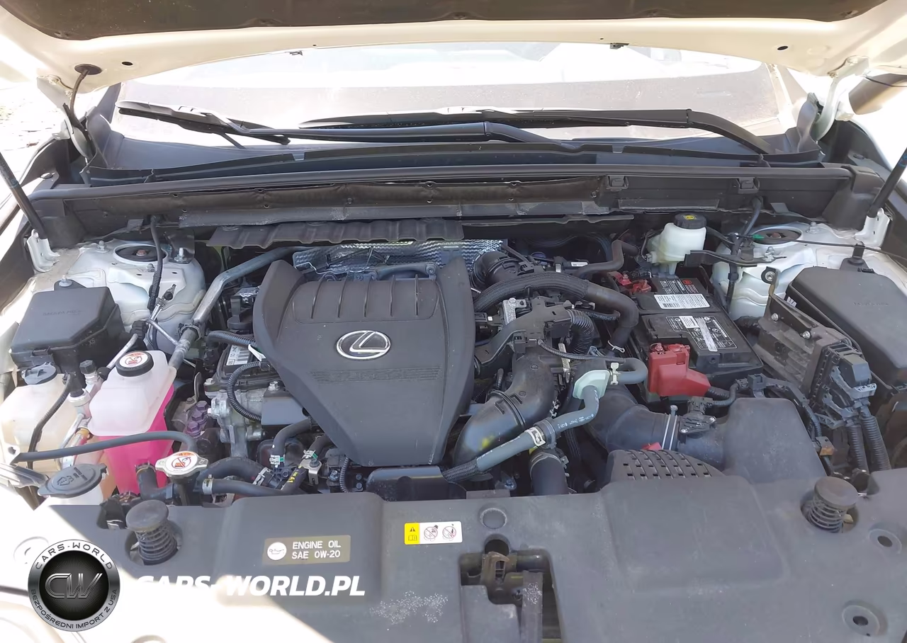 2024 LEXUS NX 350 PREMIUM VIN:2T2GGCEZXRC052446 - 10