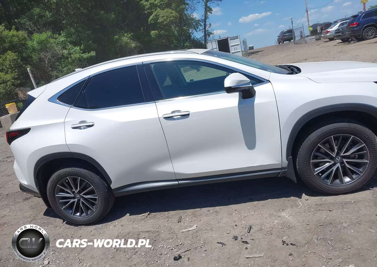 2024 LEXUS NX 350 PREMIUM VIN:2T2GGCEZXRC052446 - 13