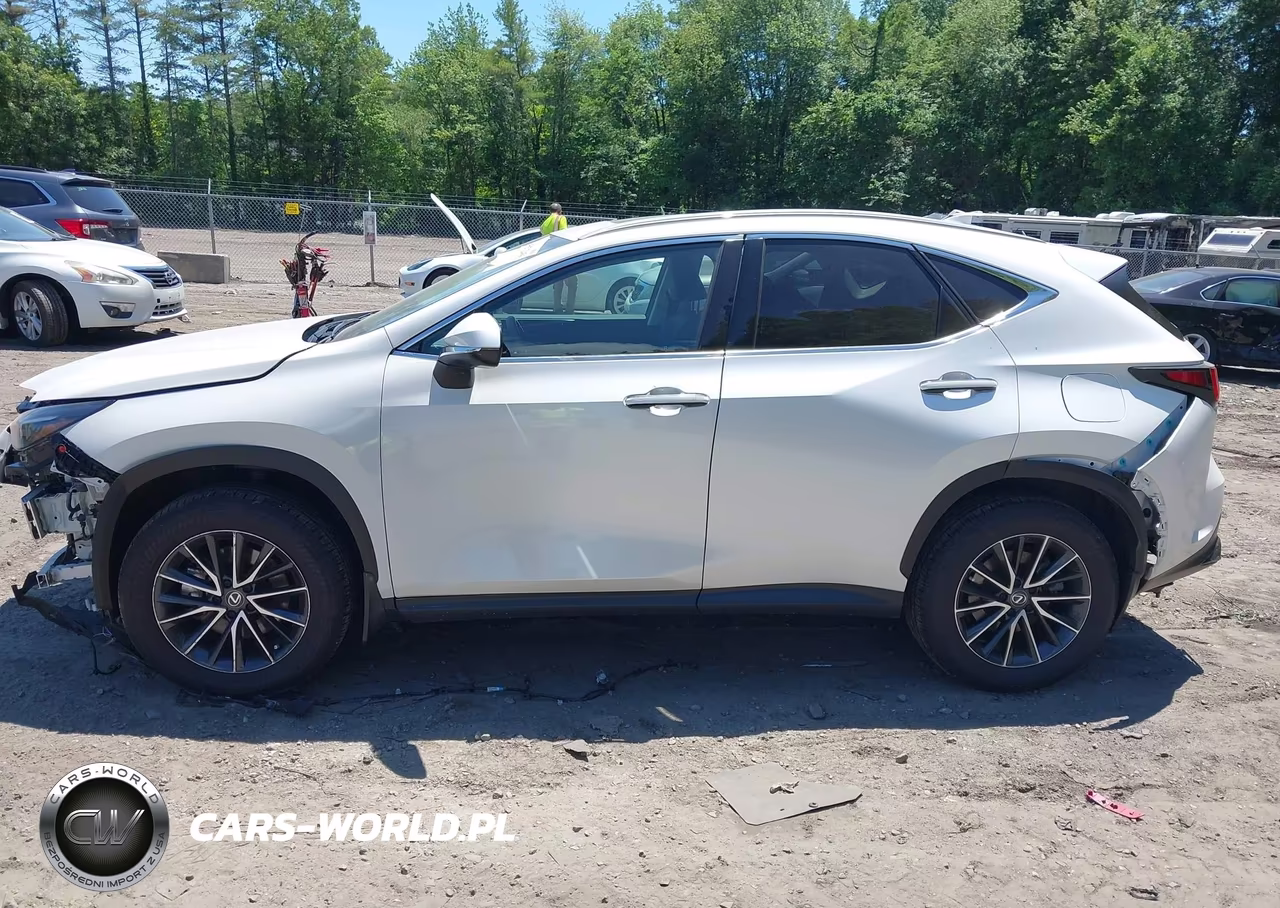 2024 LEXUS NX 350 PREMIUM VIN:2T2GGCEZXRC052446 - 14