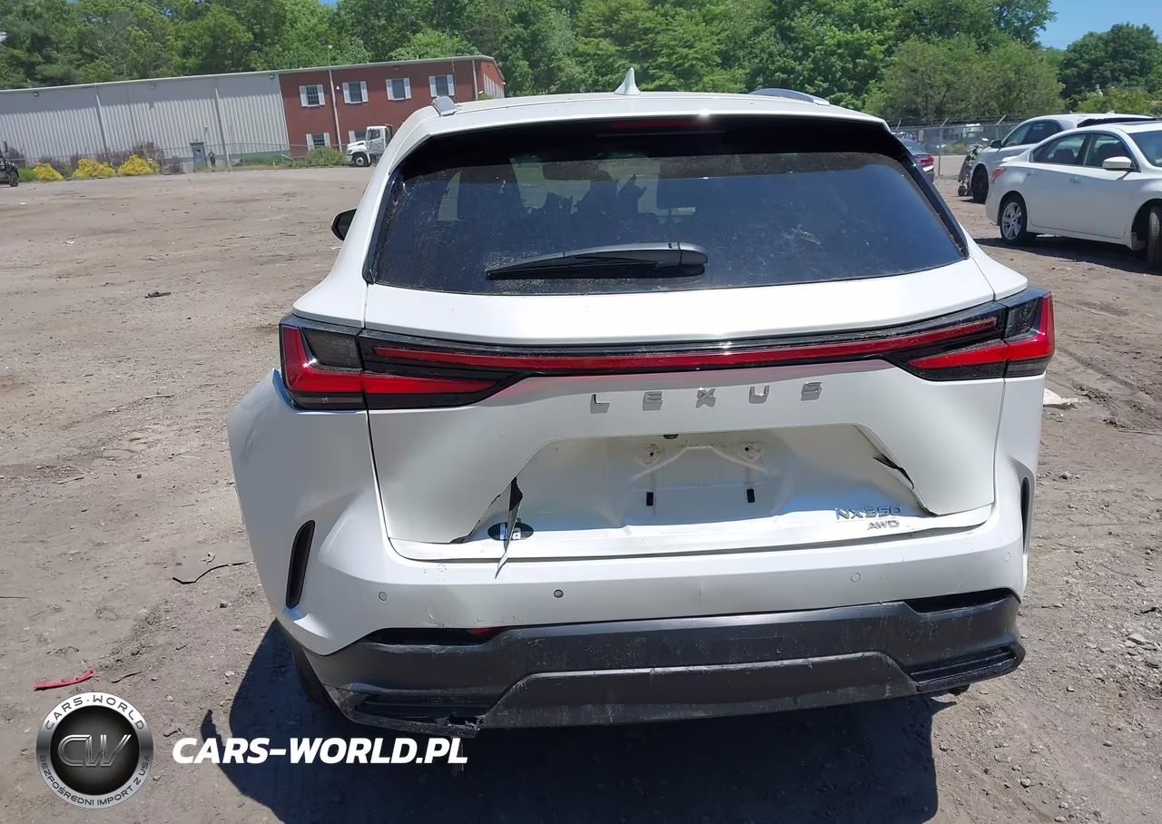 2024 LEXUS NX 350 PREMIUM VIN:2T2GGCEZXRC052446 - 16