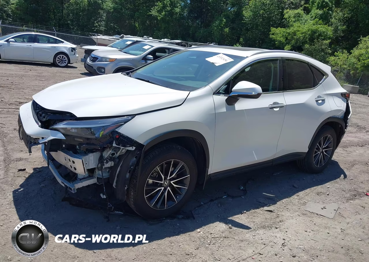2024 LEXUS NX 350 PREMIUM VIN:2T2GGCEZXRC052446 - 2