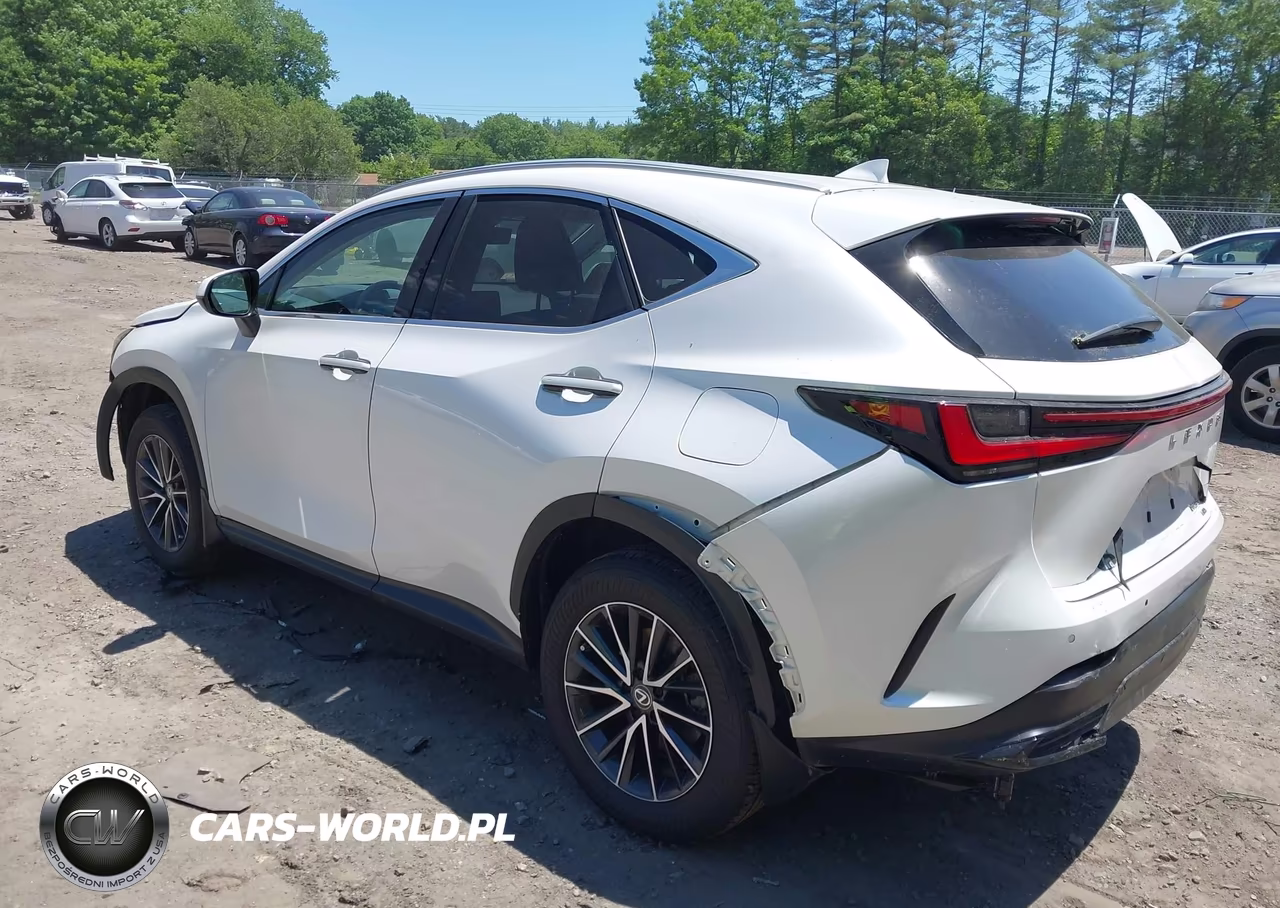 2024 LEXUS NX 350 PREMIUM VIN:2T2GGCEZXRC052446 - 3