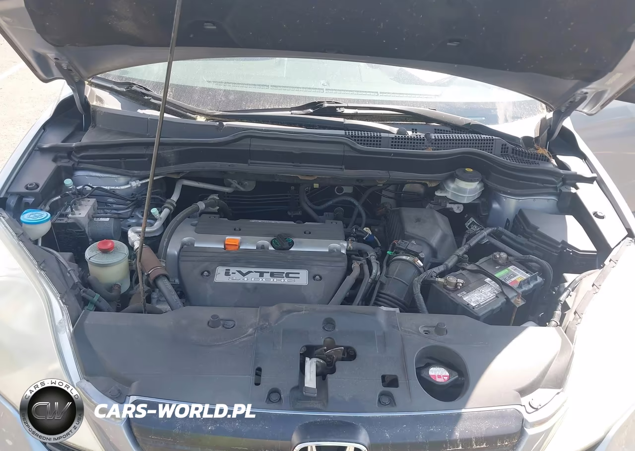 2009 Honda Cr-V Lx VIN:5J6RE483X9L026528 - 10