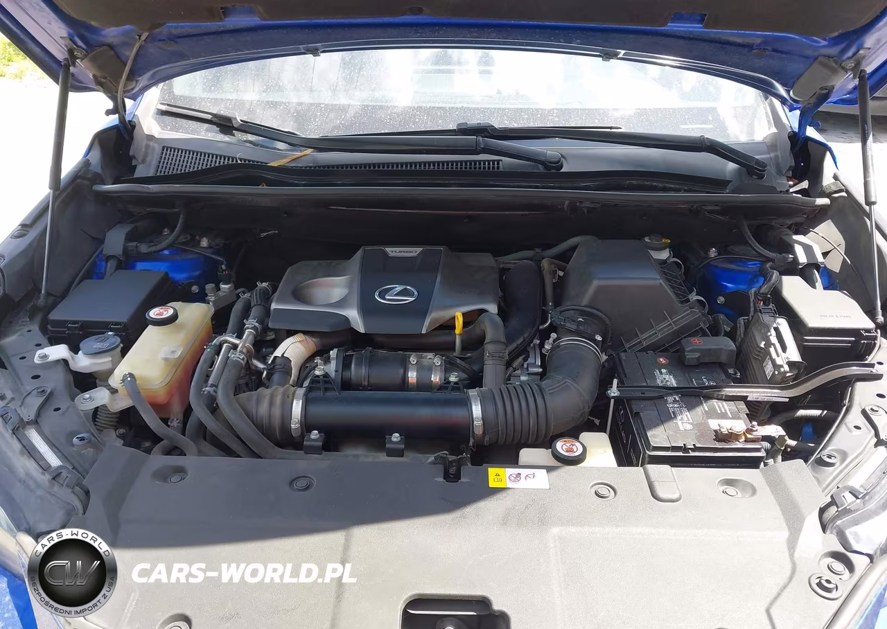 2018 Lexus Nx 300 F Sport VIN:JTJYARBZ4J2106941 - 10