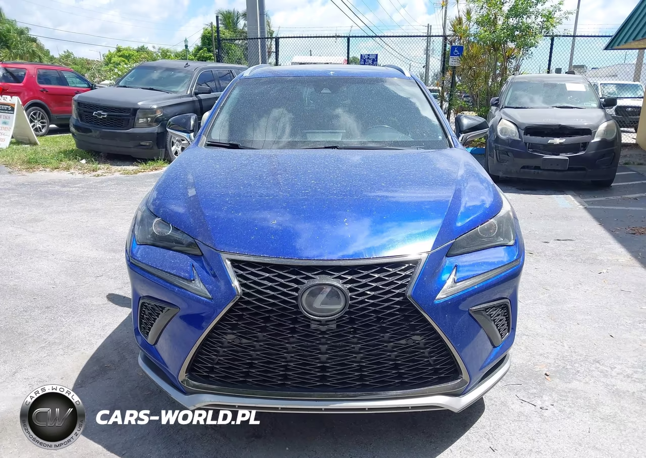 2018 Lexus Nx 300 F Sport VIN:JTJYARBZ4J2106941 - 12