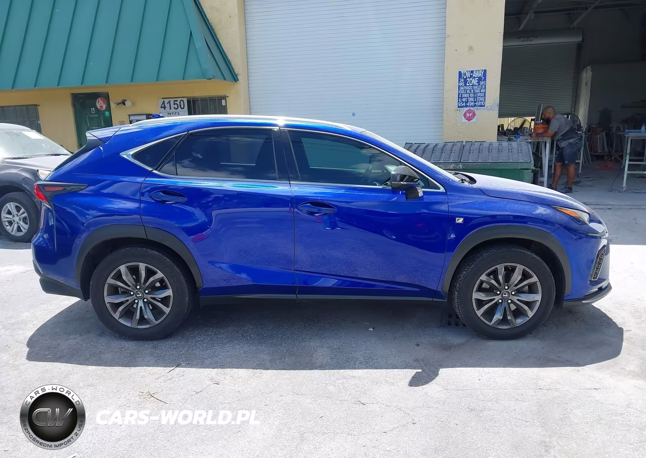 2018 Lexus Nx 300 F Sport VIN:JTJYARBZ4J2106941 - 13
