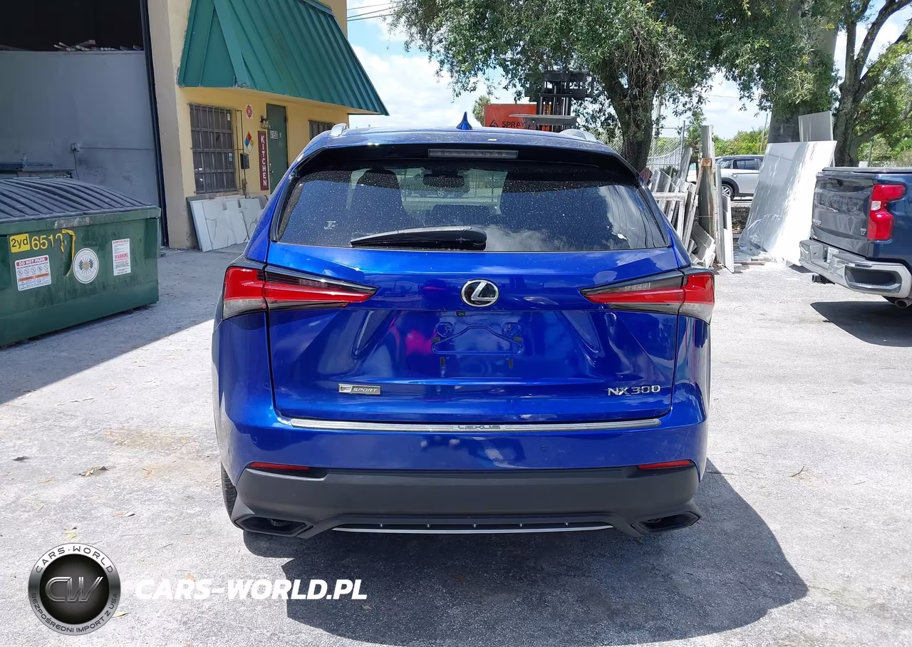 2018 Lexus Nx 300 F Sport VIN:JTJYARBZ4J2106941 - 16