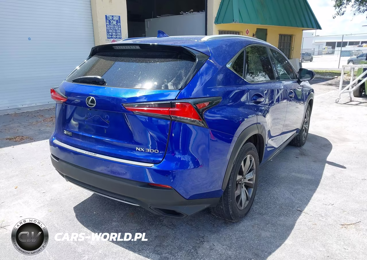 2018 Lexus Nx 300 F Sport VIN:JTJYARBZ4J2106941 - 4