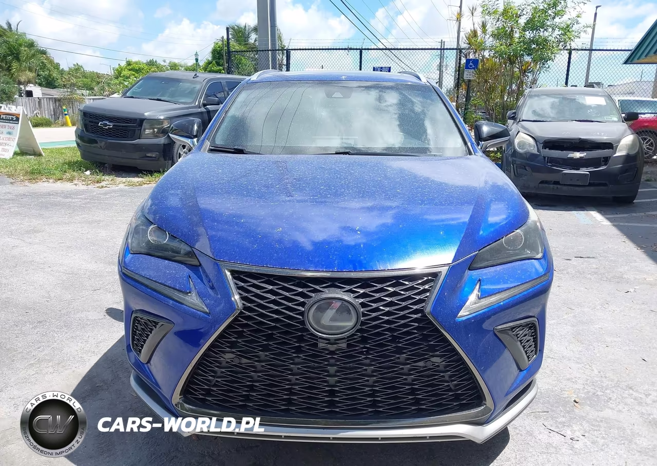 2018 Lexus Nx 300 F Sport VIN:JTJYARBZ4J2106941 - 6