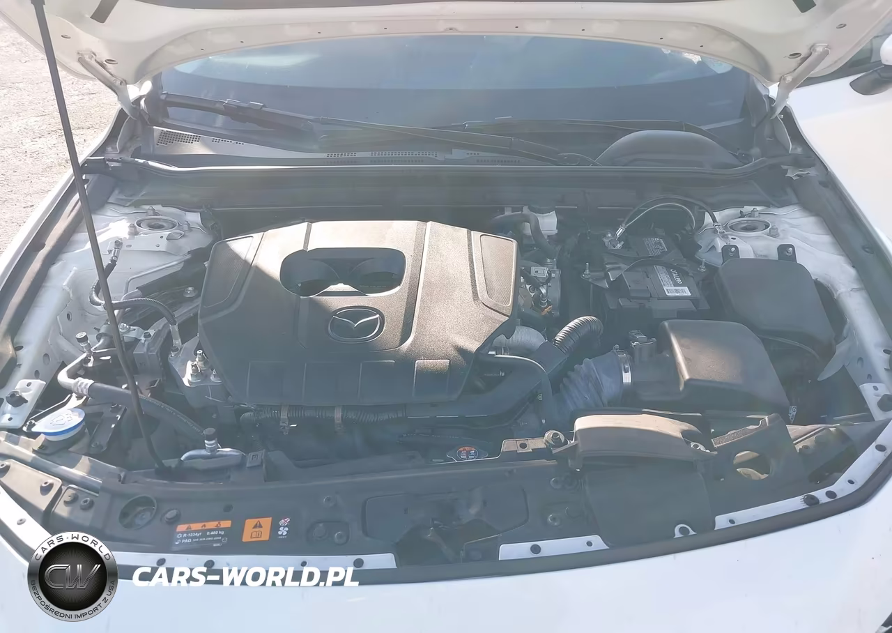 2023 Mazda Mazda3 2.5 S Preferred VIN:3MZBPACM3PM366225 - 10