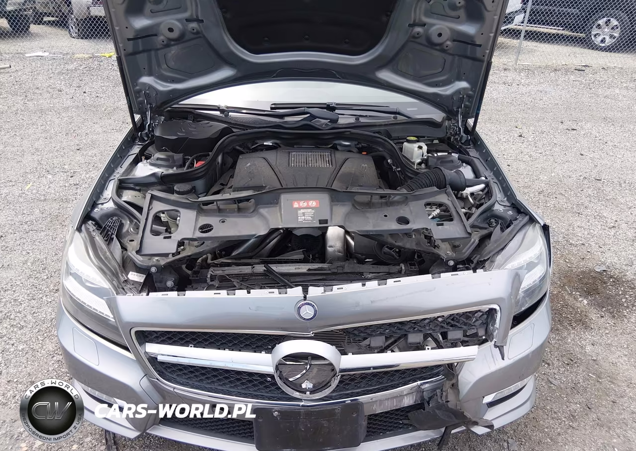2012 Mercedes-Benz Cls 550 VIN:WDDLJ7DBXCA051976 - 10
