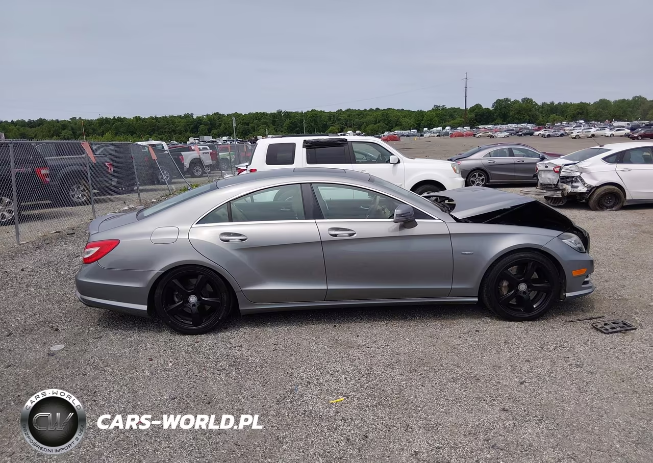 2012 Mercedes-Benz Cls 550 VIN:WDDLJ7DBXCA051976 - 13