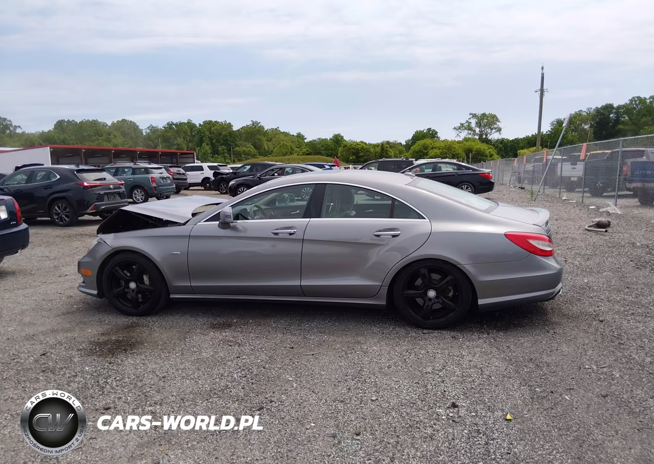 2012 Mercedes-Benz Cls 550 VIN:WDDLJ7DBXCA051976 - 14