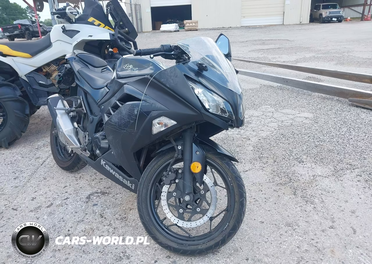 2016 Kawasaki Ex300 A – zdjęcie 1 z 13