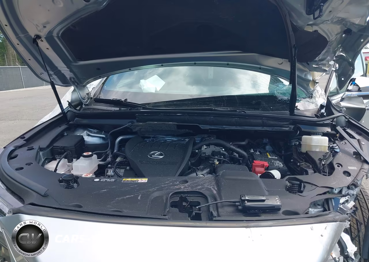 2023 Lexus Rx 350 Premium VIN:2T2BAMCA7PC036149 - 10