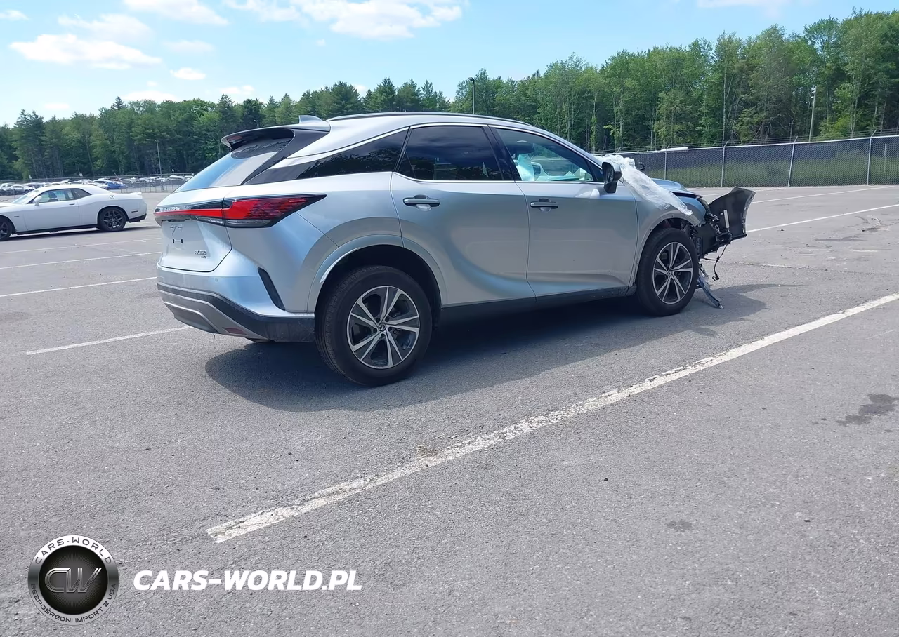 2023 Lexus Rx 350 Premium VIN:2T2BAMCA7PC036149 - 4