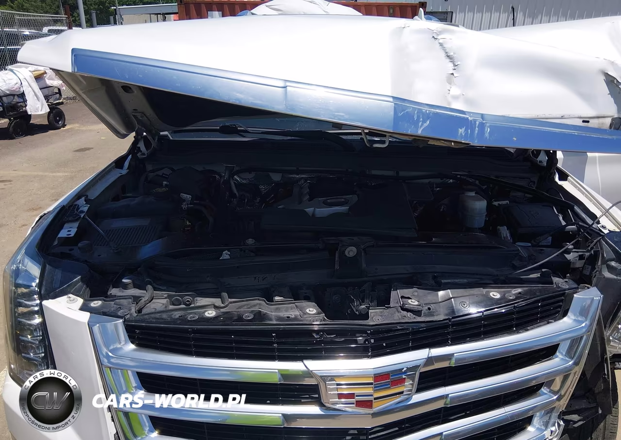 2016 Cadillac Escalade Premium Collection VIN:1GYS4CKJXGR343483 - 10
