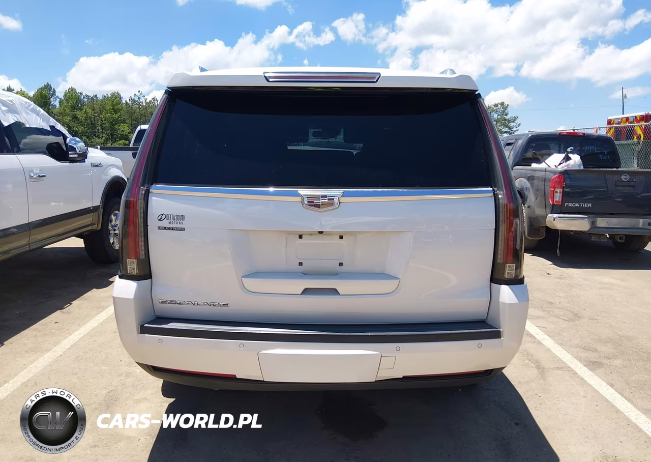 2016 Cadillac Escalade Premium Collection VIN:1GYS4CKJXGR343483 - 15