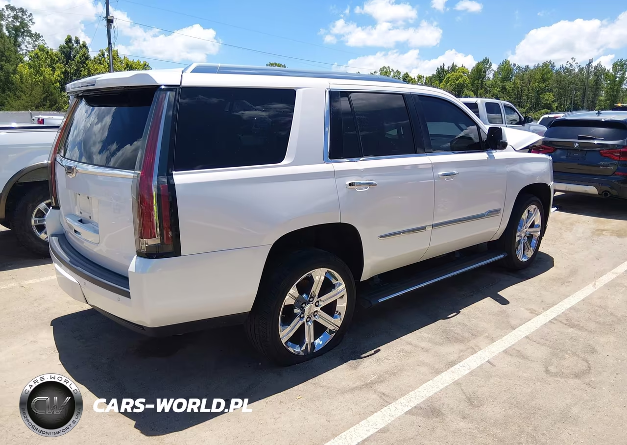 2016 Cadillac Escalade Premium Collection VIN:1GYS4CKJXGR343483 - 4