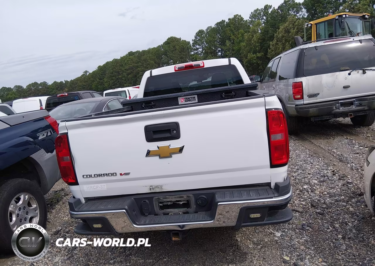2020 Chevrolet Colorado 4Wd Long Box Wt VIN:1GCGTBEN5L1160329 - 16