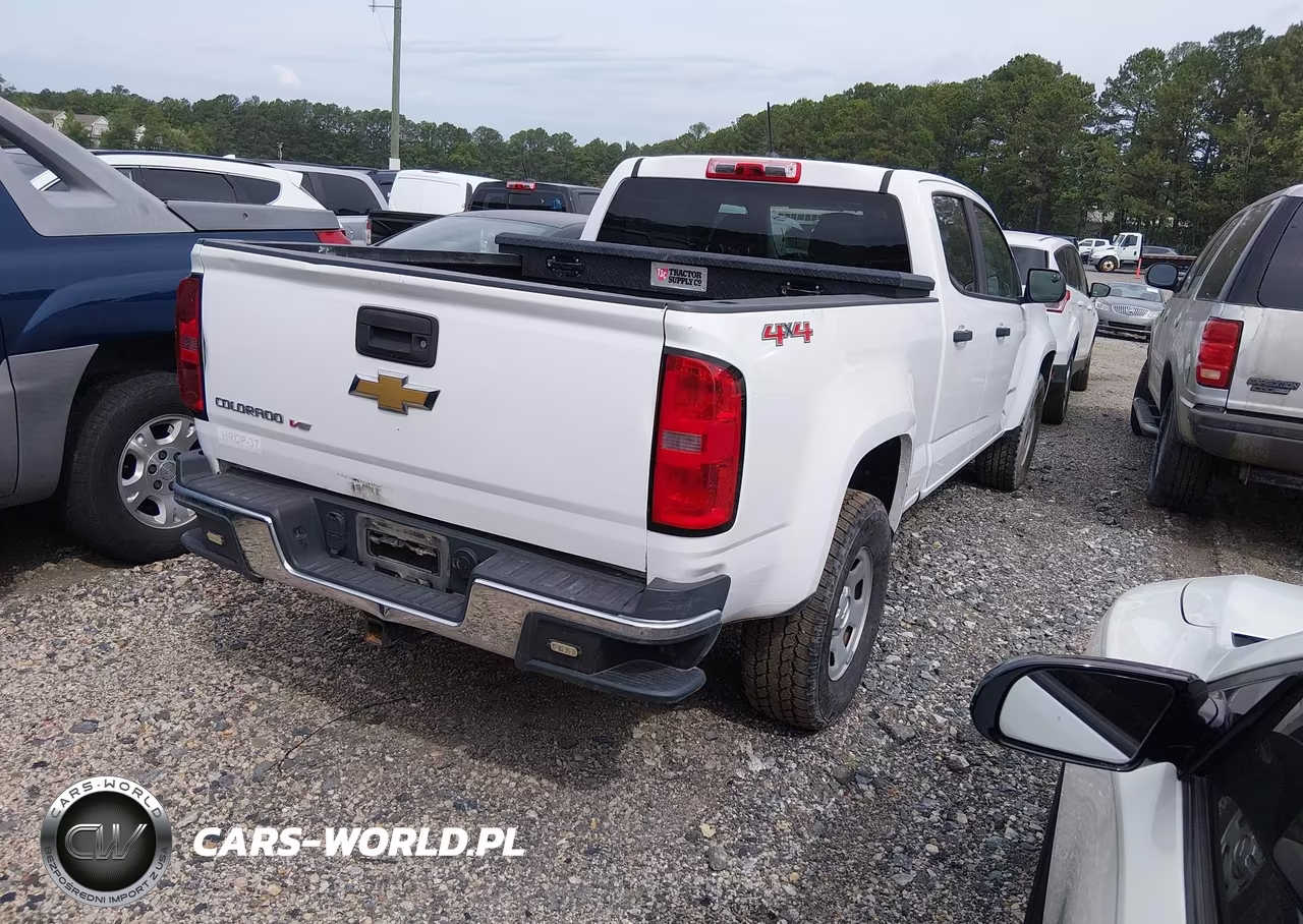 2020 Chevrolet Colorado 4Wd Long Box Wt VIN:1GCGTBEN5L1160329 - 4