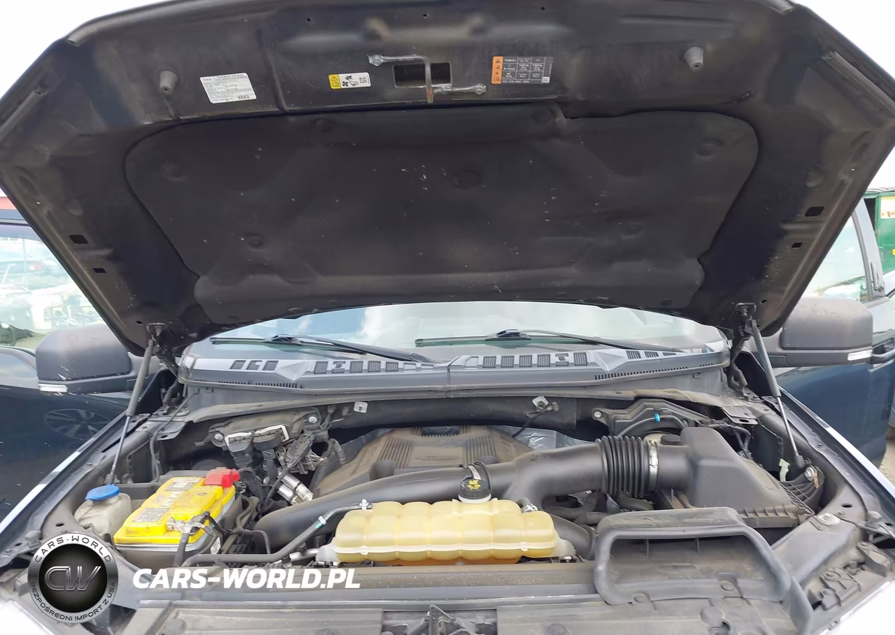 2019 Ford F-150 Xlt VIN:1FTFW1E46KFB10450 - 10
