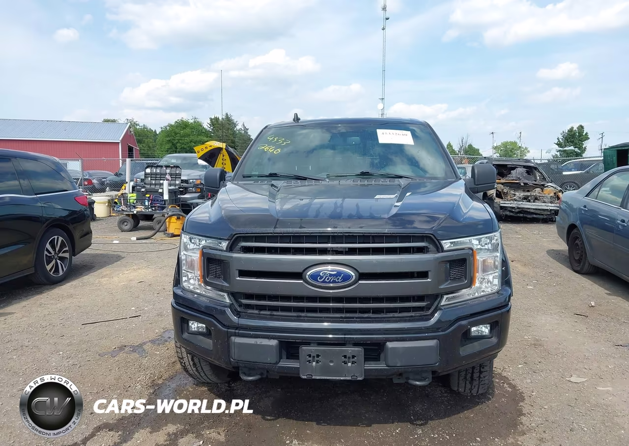 2019 Ford F-150 Xlt VIN:1FTFW1E46KFB10450 - 12