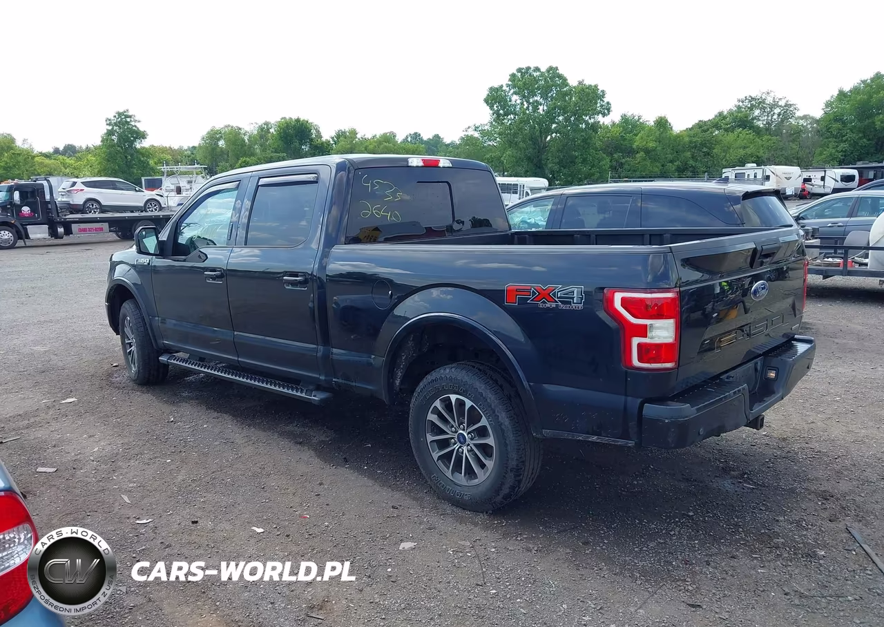 2019 Ford F-150 Xlt VIN:1FTFW1E46KFB10450 - 3