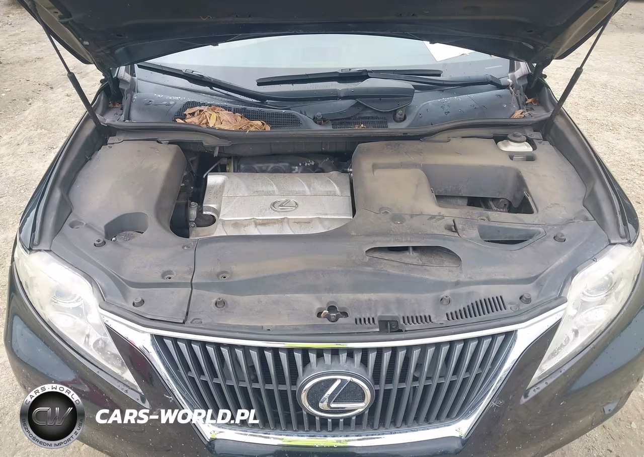 2010 Lexus Rx 350 VIN:2T2ZK1BA0AC026887 - 10