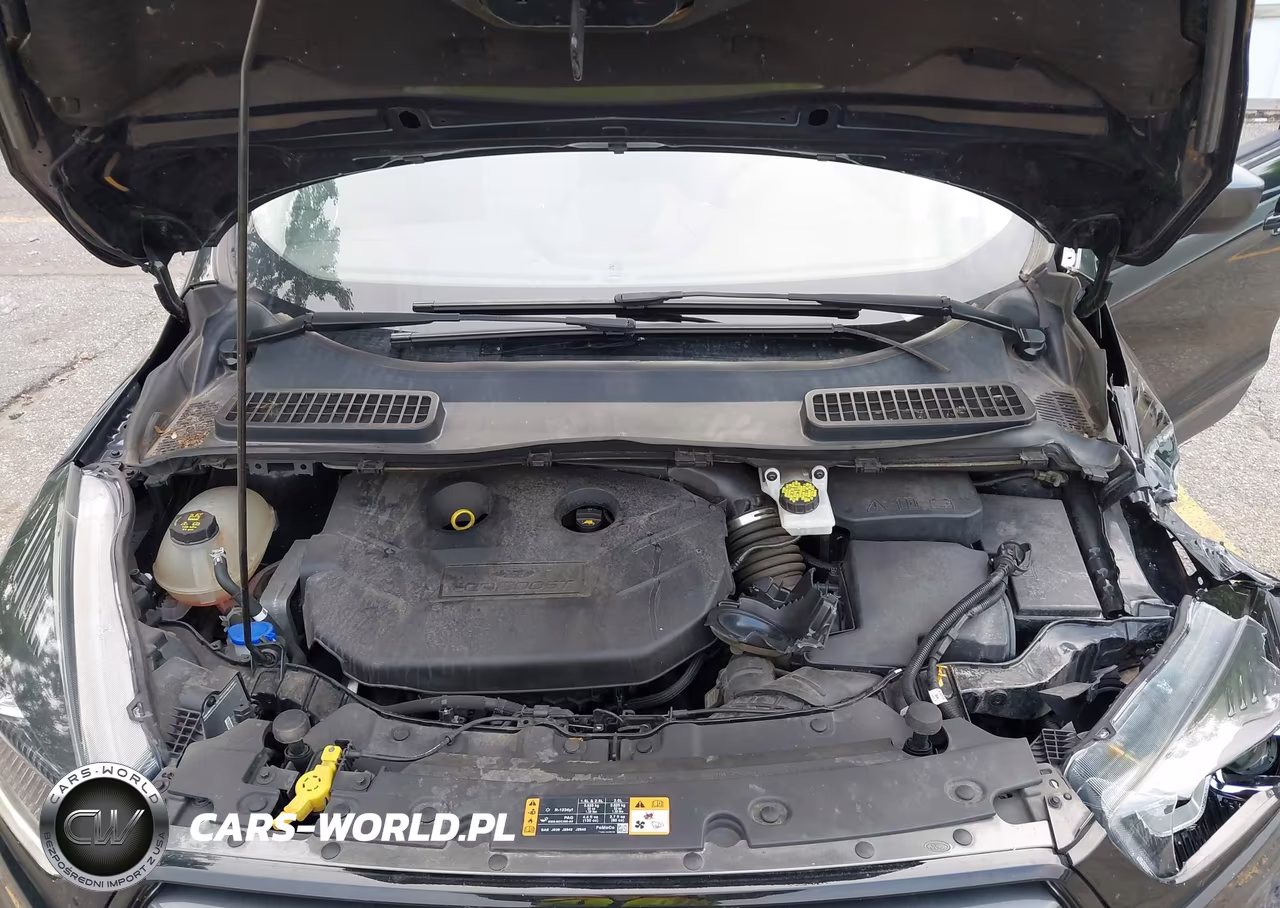 2019 Ford Escape Sel VIN:1FMCU9H98KUB16742 - 10