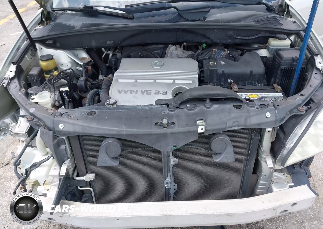 2004 Lexus Rx 330 VIN:JTJHA31U140006962 - 10