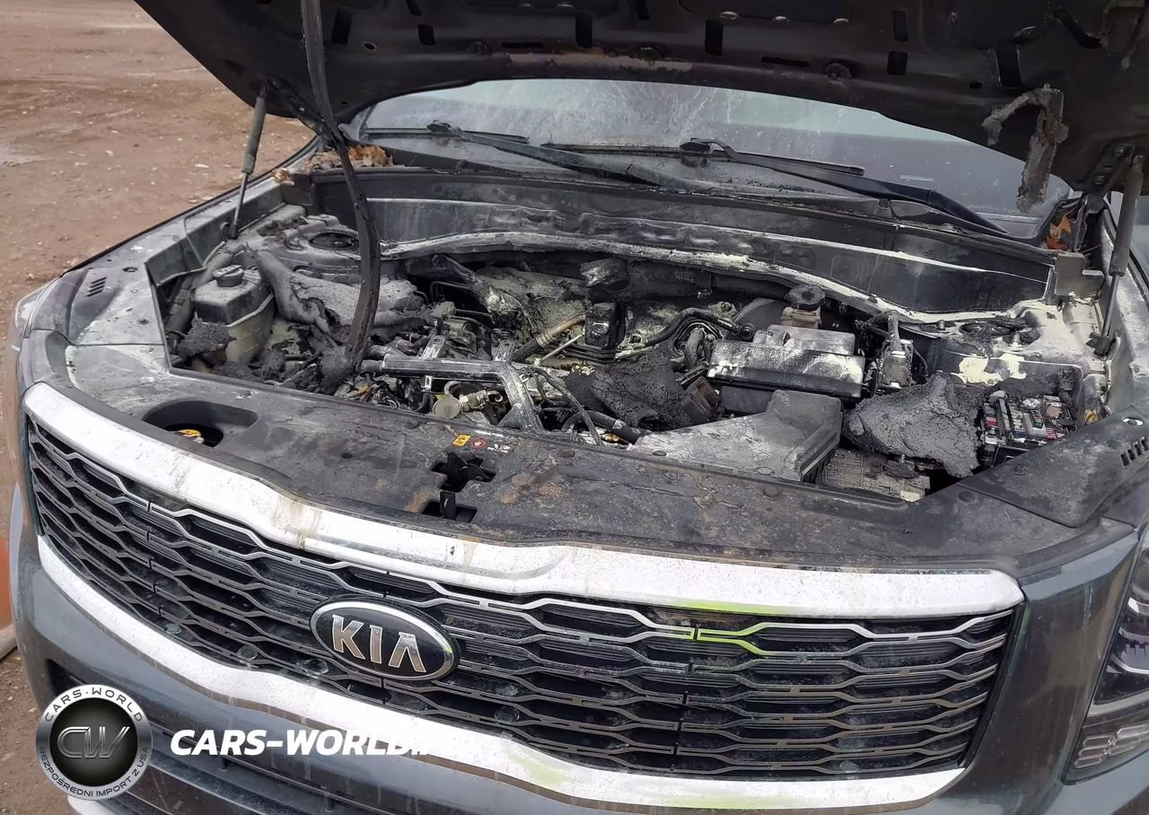 2020 Kia Telluride S VIN:5XYP64HC3LG032524 - 6