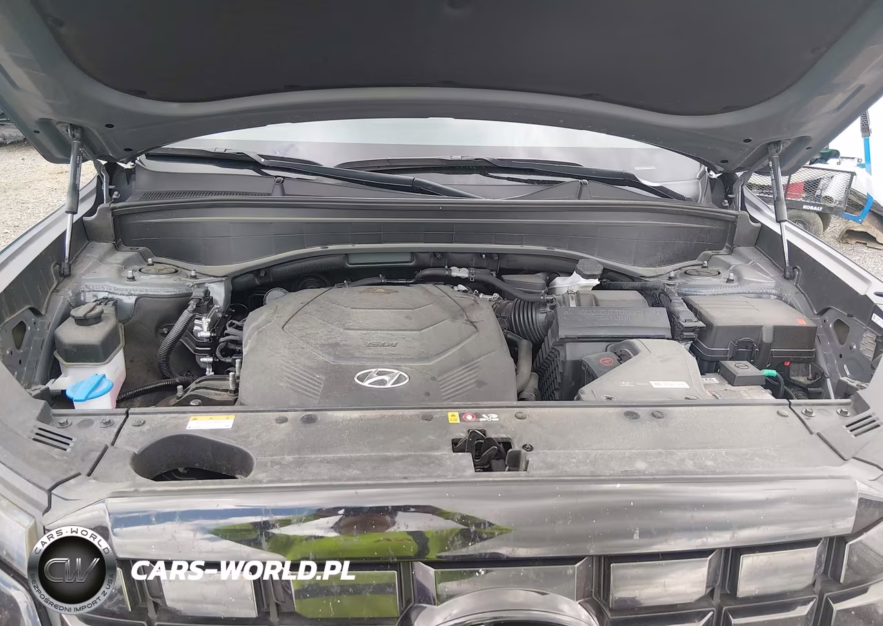 2024 Hyundai Palisade Limited VIN:KM8R54GE7RU796698 - 10