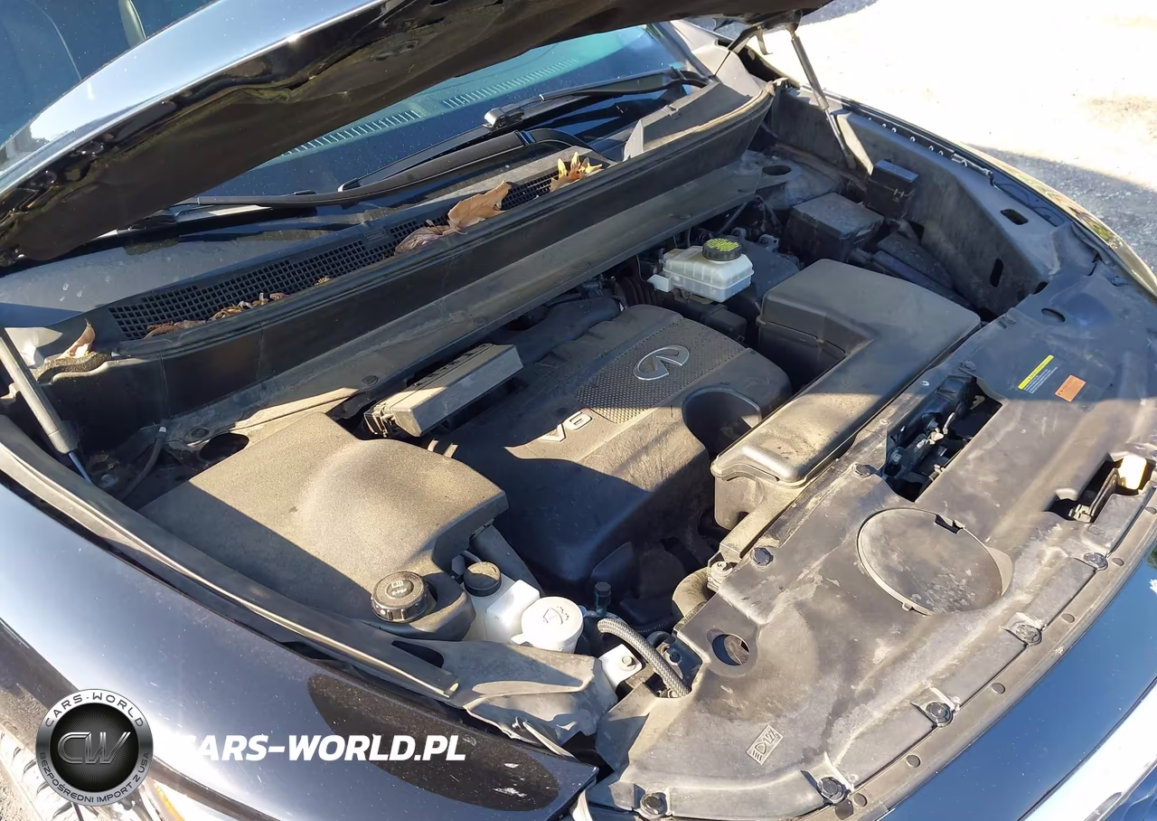 2019 Infiniti Qx60 Pure VIN:5N1DL0MM1KC549211 - 10