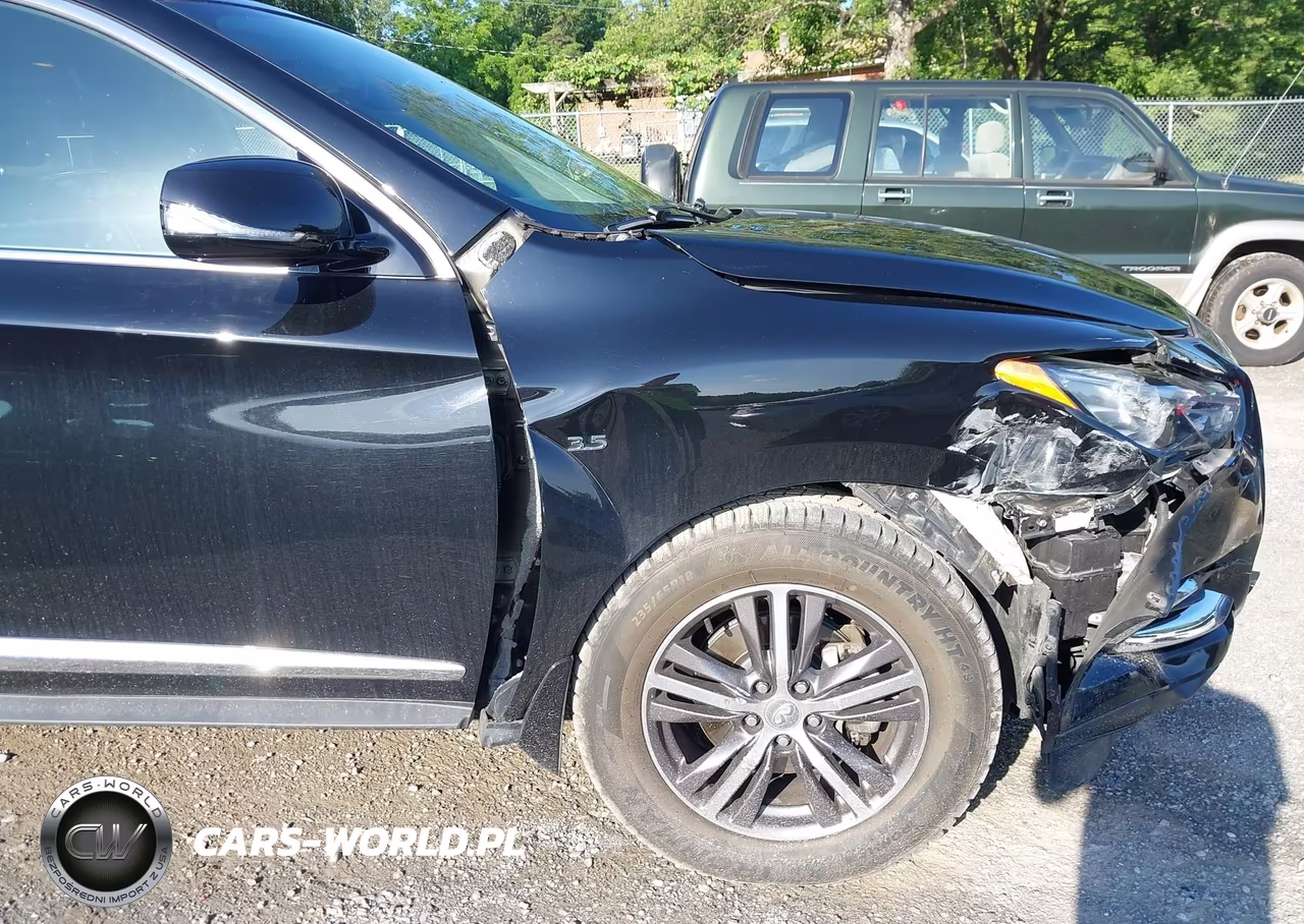 2019 Infiniti Qx60 Pure VIN:5N1DL0MM1KC549211 - 17