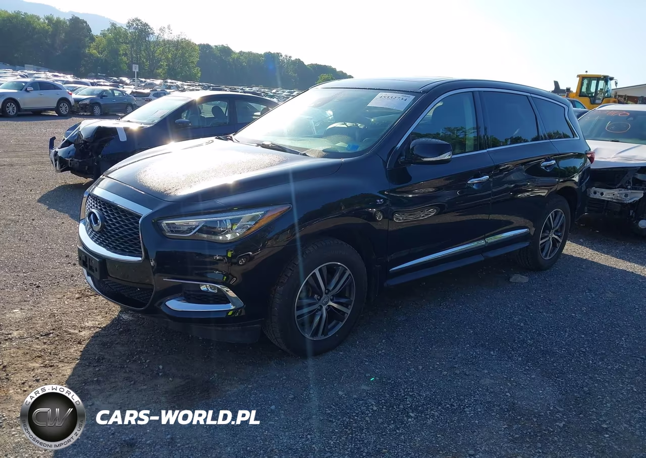 2019 Infiniti Qx60 Pure VIN:5N1DL0MM1KC549211 - 2